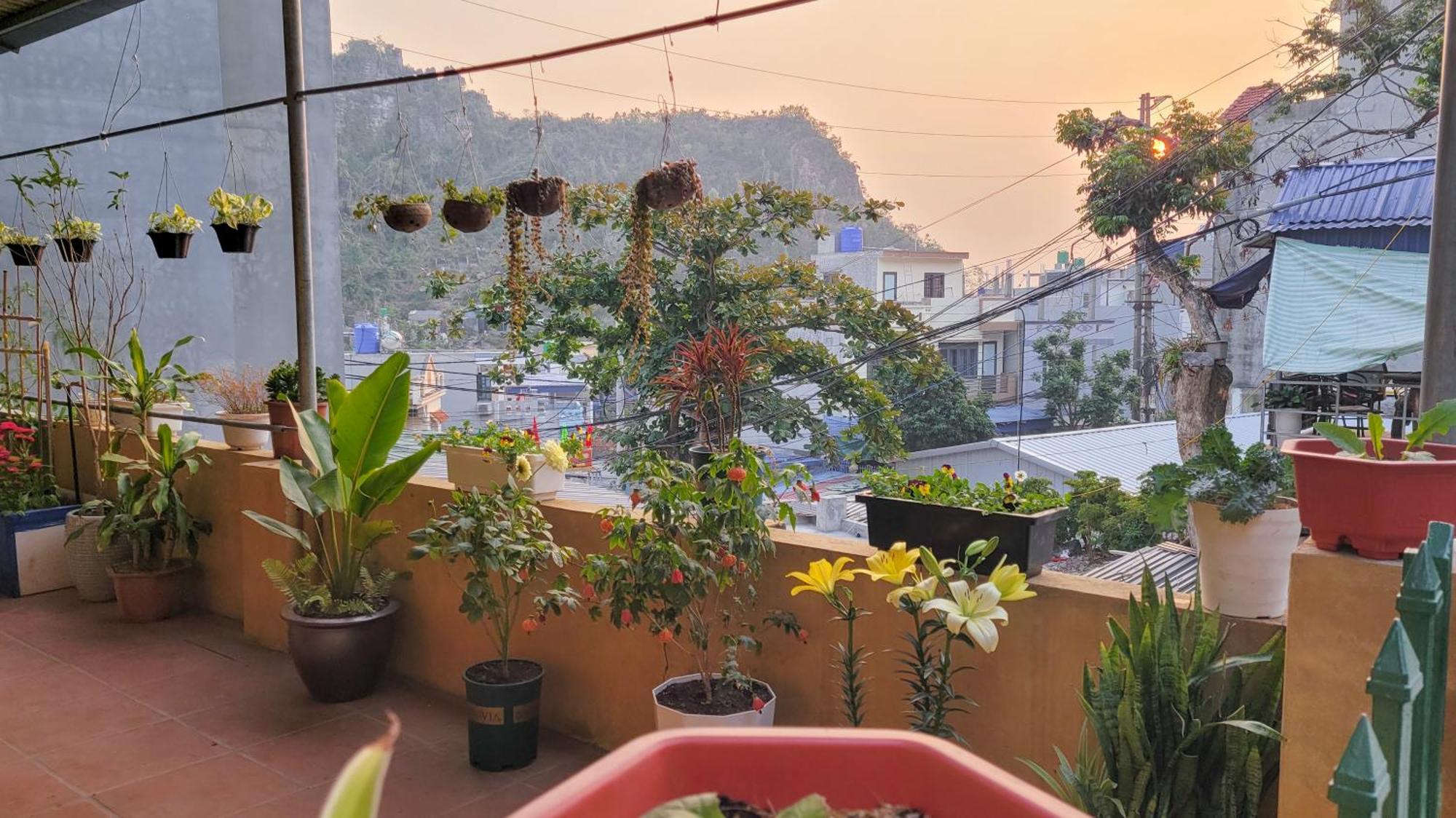 Tiny Garden House Cat Ba Hotell Chan Chau Eksteriør bilde